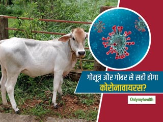  'गोमूत्र, गाय के गोबर से सही हो सकता है कोरोनावायरस'- BJP विधायक दावा कितना सही, कितना गलत? एक्सपर्ट से जानें