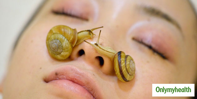 Snail Mucin Skin Benefits