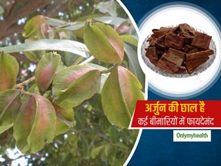 डायबिटीज, मोटापा और हार्ट की बीमारियों से बचाव में मदद कर सकती है अर्जुन की छाल, जानें आयुर्वेदिक लाभ
