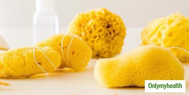 Menstrual Sea Sponge