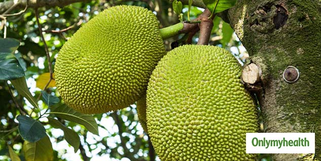 Jackfruit 