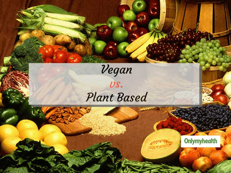 A Vegan Diet or Plant-Based Diet. What’s the difference?