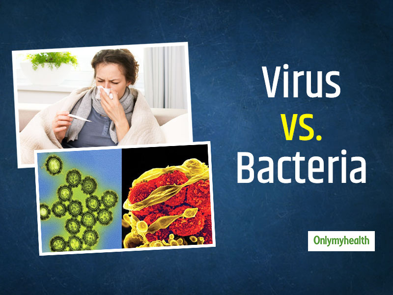 Virus Vs Bacteria: Understand The Difference Between Bacterial And Viral Infections