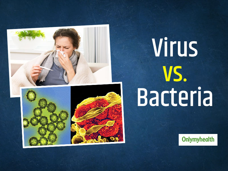 What is the difference between bacterial and viral infections?