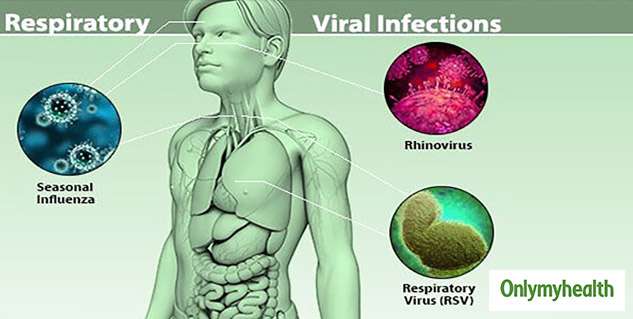 Virus Vs Bacteria: Understand The Difference Between Bacterial And