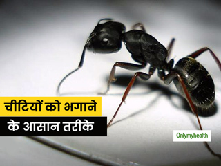 चीटियों को भगाने के लिए आजमाएं ये 5 घरेलू उपाय