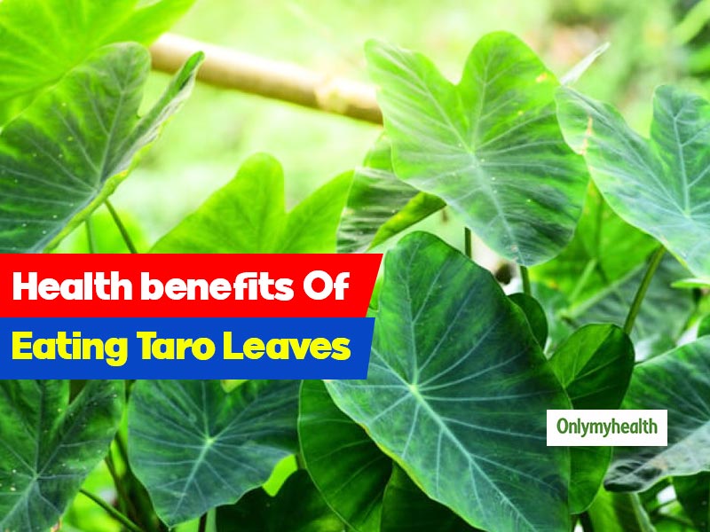 Taro Leaves: Nutrition, Benefits, and Uses