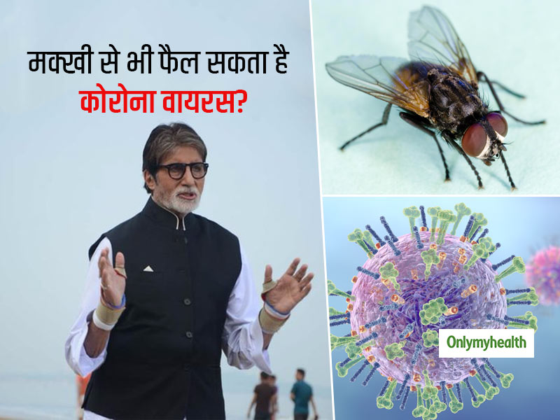 नई रिसर्च: क्या मक्खियों से फैल सकता है कोरोना वायरस? अमिताभ बच्चन से शेयर किया वीडियो मगर क्या है सच्चाई