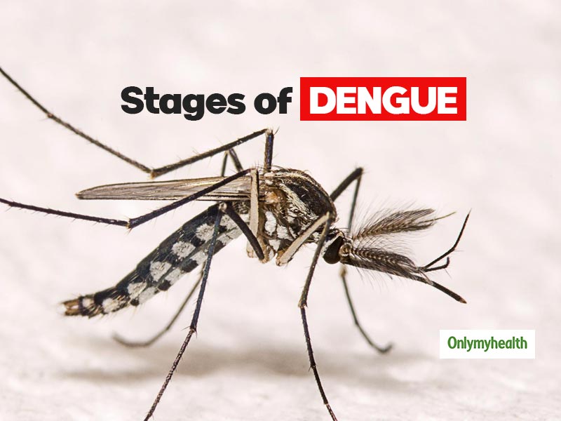 Dengue: Know About The Various Stages Of Dengue And Its Symptoms