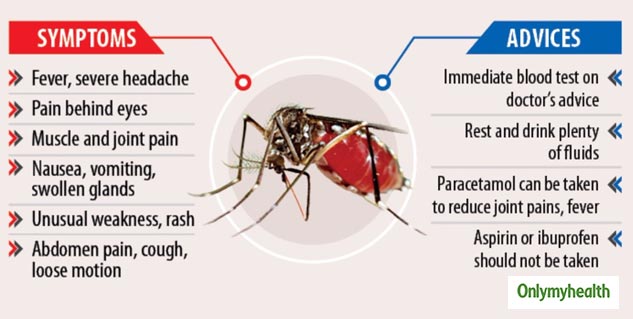 Dengue: Know About The Various Stages Of Dengue And Its Symptoms ...