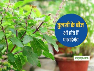 पत्तियों से ज्‍यादा फायदेमंद होते हैं तुलसी के बीज, इस तरह हमारी सेहत के लिए होते हैं फायदेमंद