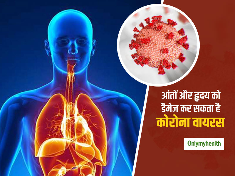 सिर्फ फेफड़ों को नहीं, आंतों और दिल को भी डैमेज कर सकता है कोरोना वायरस, वैज्ञानिकों ने किया दावा