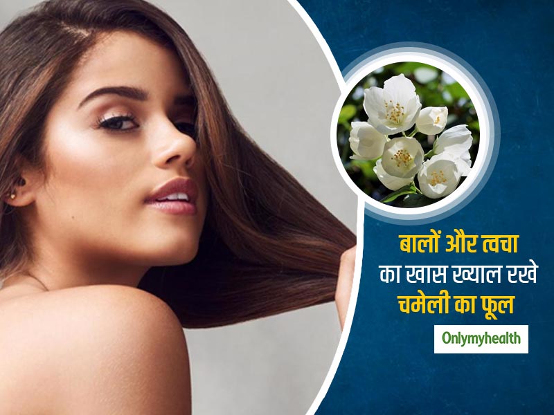 बालों के झड़ने से लेकर त्‍वचा की हर प्रॉब्‍लम को दूर करता है चमेली का फूल, जानें इस्‍तेमाल का तरीका
