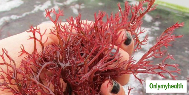 Seaweed Skin Benefits