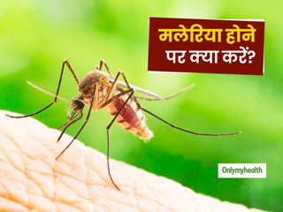 Malaria Prevention: मलेरिया होने पर आयुर्वेद के अनुसार क्‍या करें और क्‍या नहीं, जानिए