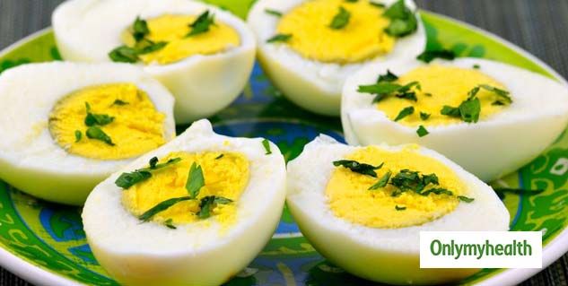 egg