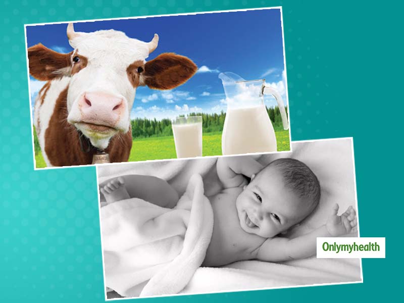Tips For Parents: Know The Ins And Outs Of Cow's Milk Protein Allergy