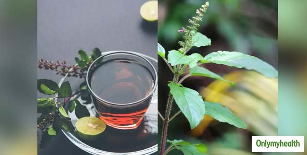 Tulsi Tea