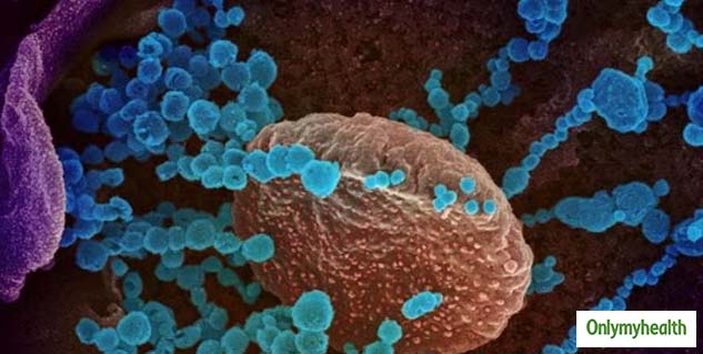 Can Coronavirus Attack a Person Twice 