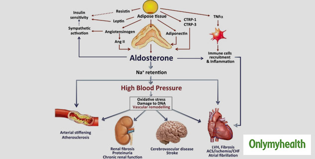 epinephrine high blood pressure