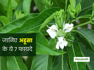 गठिया के पुराने से पुराने दर्द को ठीक कर सकता है अडूसा का पत्ता, इन 7 बीमारियों से भी मिलेगा छुटकारा
