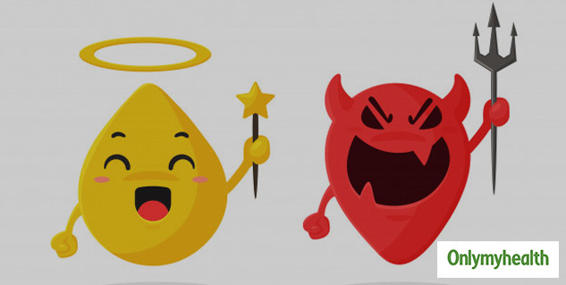 insidebadandgoodcholesterol