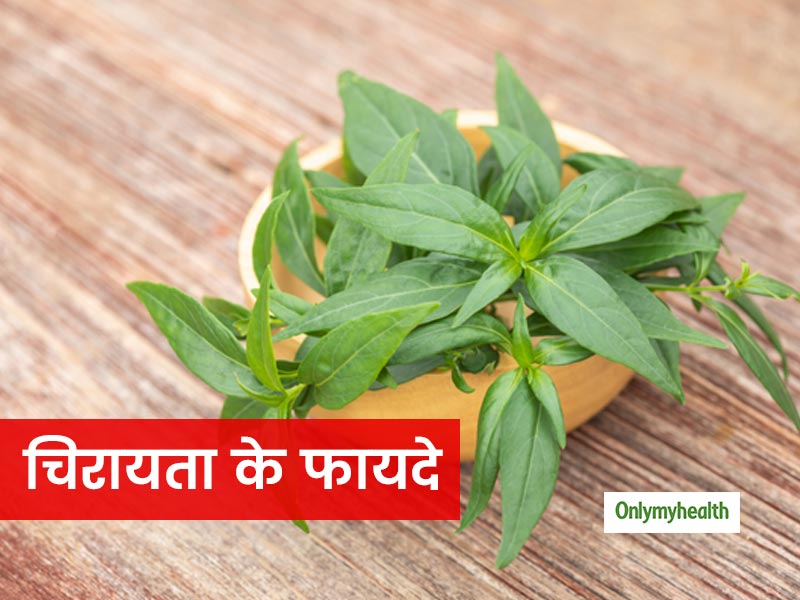 वजन को तेजी से कम करे चिरायता, जानिए इसके 8 बेमिसाल फायदे