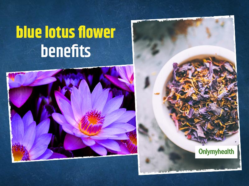 Skincare Benefits of Blue Lotus Flower