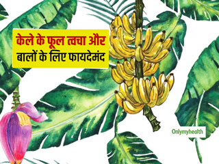 केला ही नहीं केले का फूल भी होता है बहुत गुणकारी, त्वचा और बालों की इन 3 समस्याओं में जरूर करें प्रयोग
