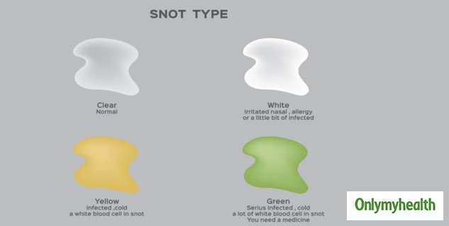 What Is Nasal Mucus? Check Out The Types, Causes, Treatment And Ways To Prevent It What Is Nasal Mucus? Check Out The Types, Causes, Treatment And Ways To Prevent It