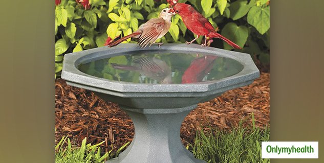 inside2-Diwali-Eco-Friendly-gift-Ideas