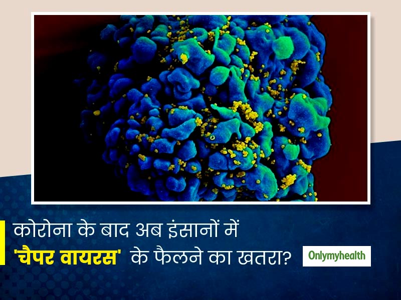 Chapare Virus: कोरोना प्रकोप के बीच मंडरा रहा 'चैपर वायरस' का खतरा, तेजी से लोगों को कर सकता है संक्रमित