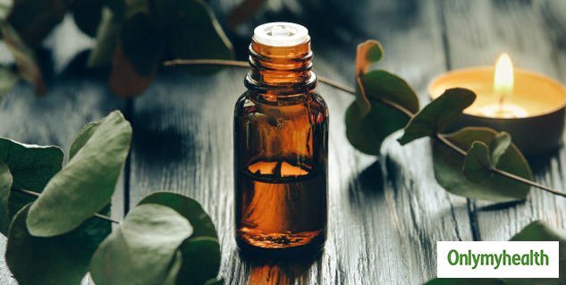 insideeucalyptus