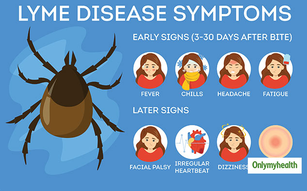 lyme disease symptoms years later