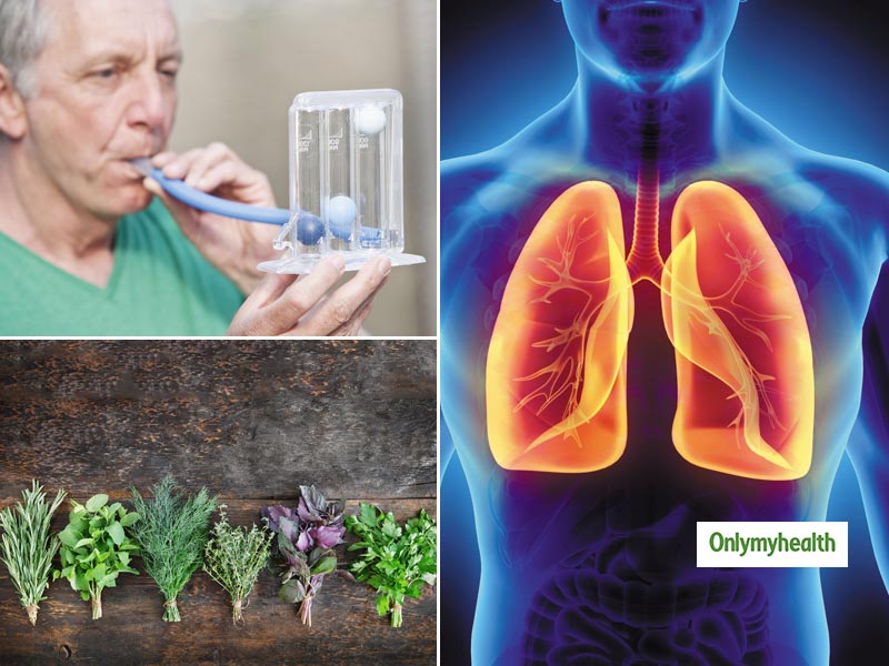 Respiratory Disease Treatment: Try These 9 Natural Herbs For Healthy Lungs