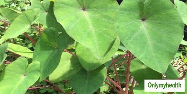 insidearbikepattekefayde