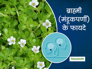 ब्राह्मी (मंडूकपर्णी) को आयुर्वेद में माना जाता है कई समस्याओं का रामबाण इलाज, एक्सपर्ट से जानें इसके 5 फायदे
