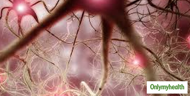 insidefibromyalgiaandguthealth