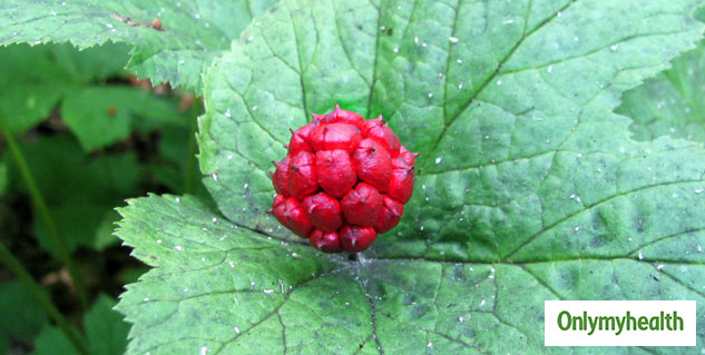 Remedies For Diarrhea