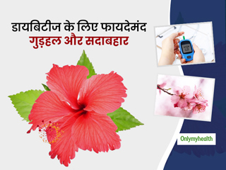 डायबिटीज को शुरुआती समय में गुड़हल और सदाबहार के फूल से कैसे कंट्रोल किया जा सकता है