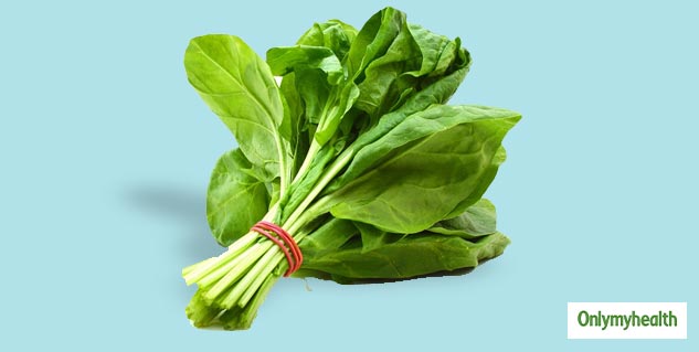 insidepalak