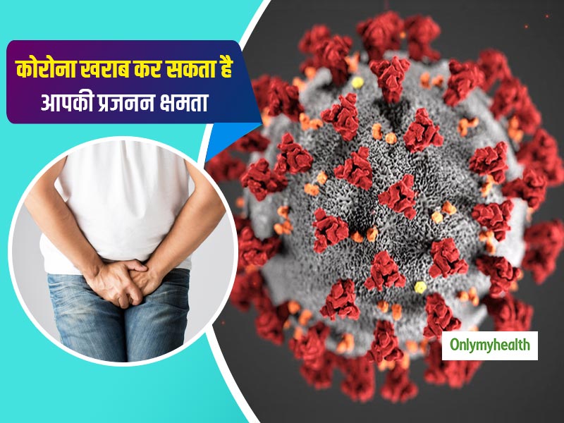 कोरोना के कारण खो सकती है पुरुषों के पिता बनने की क्षमता, स्पर्म बनाने वाले सेल्स को पहुंचाता है नुकसान: स्टडी
