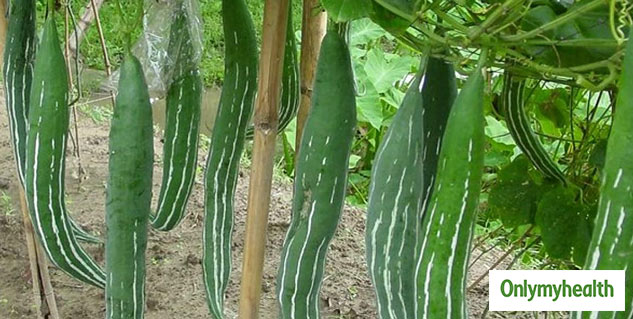 5-lesser-known-health-benefits-of-snake-gourd-vegetable-or-chichinda-ki