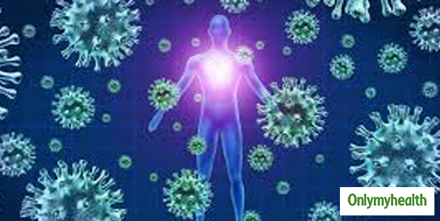 insideantibody
