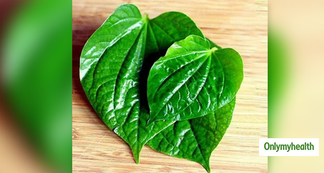 Paan Leaves