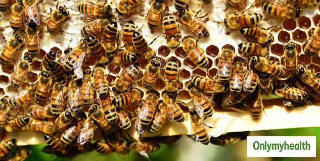breast cancer treatment by honey bee venom