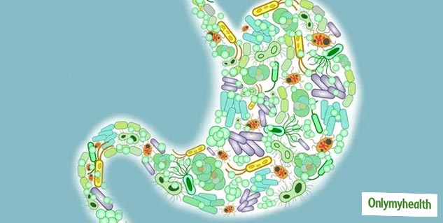 Gut Health