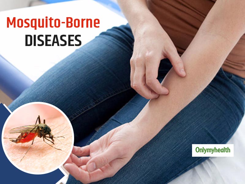 Mosquito borne deals diseases