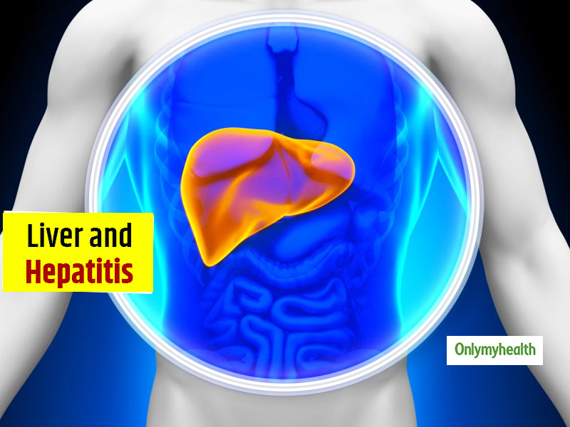 Know From Gastro Specialist How Hepatitis Damages The Liver