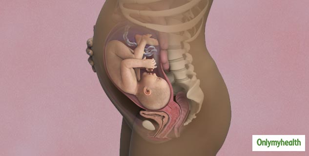 PREGNANCY